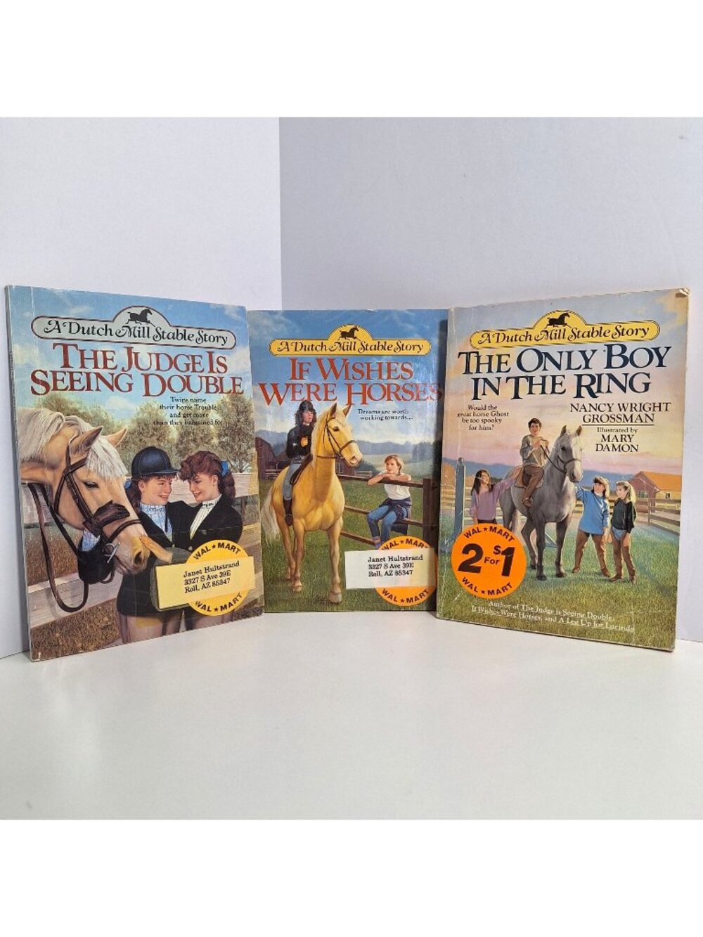 A Dutch Mill Stable Story Book Lot Horse Riding Series